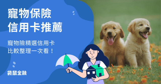 2026 寵物險信用卡攻略》搞定毛小孩保障,最新保險信用卡優惠總整理!