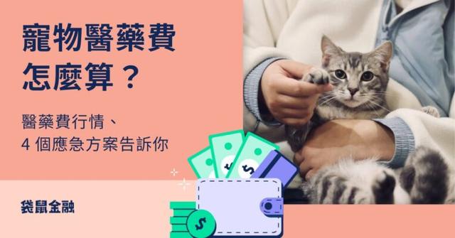 寵物醫藥費付不出來怎麼辦?寵物醫藥費行情、周轉 4 大方案告訴你