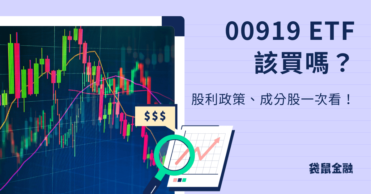 00919 該買嗎
