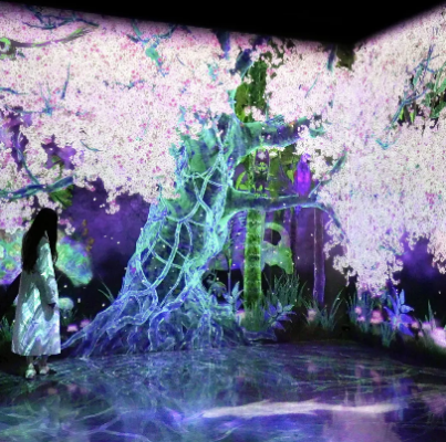 九州福岡景點推薦 : teamLab 森林美術館
