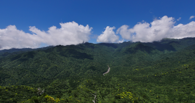 九州鹿兒島景點推薦 : 屋久島