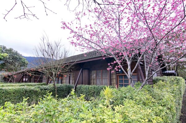 花蓮景點推薦 : 花蓮光復糖廠