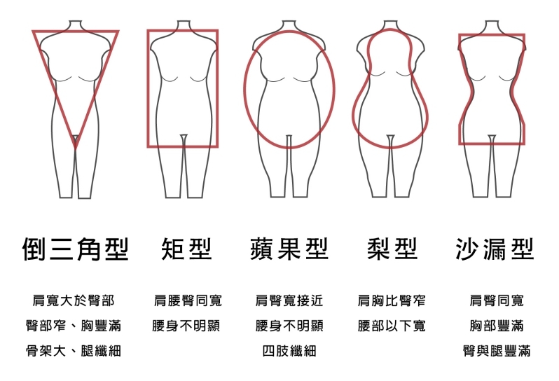 體型分類